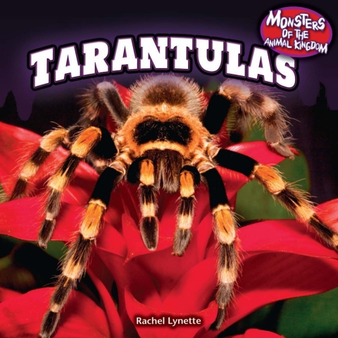 Cover image for book Tarantulas