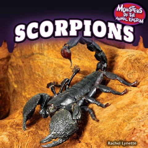 Cover image for book Scorpions