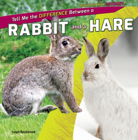 Cover image for book Tell Me the Difference Between a Rabbit and a Hare