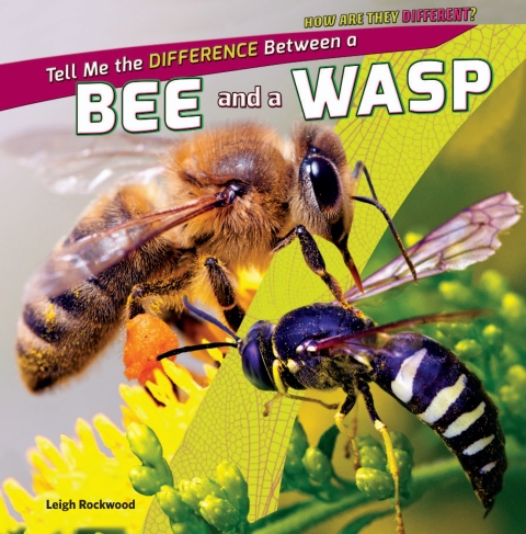 Cover image for book Tell Me the Difference Between a Bee and a Wasp