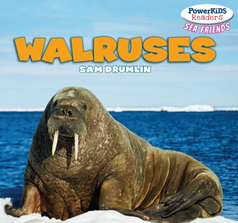 Cover image for book Walruses