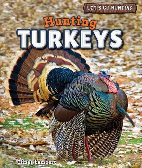 Cover image for book Hunting Turkeys