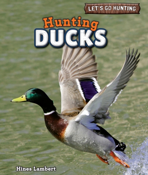 Cover image for book Hunting Ducks