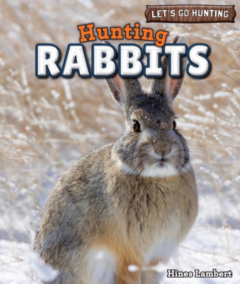 Cover image for book Hunting Rabbits