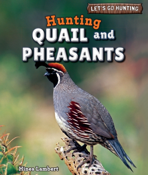 Cover image for book Hunting Quail and Pheasants