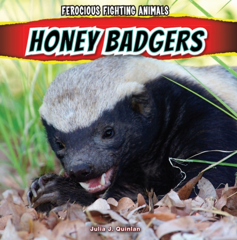 Cover image for book Honey Badgers
