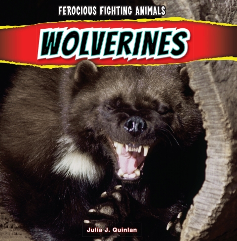 Cover image for book Wolverines