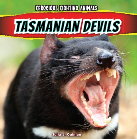Cover image for book Tasmanian Devils