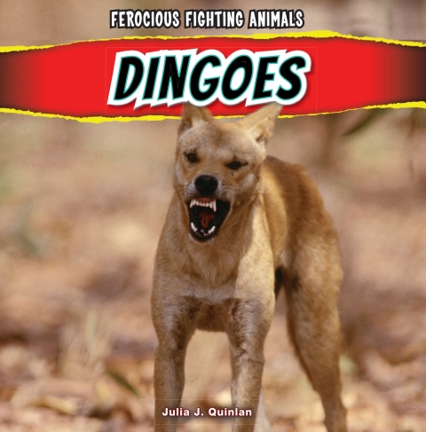 Cover image for book Dingoes