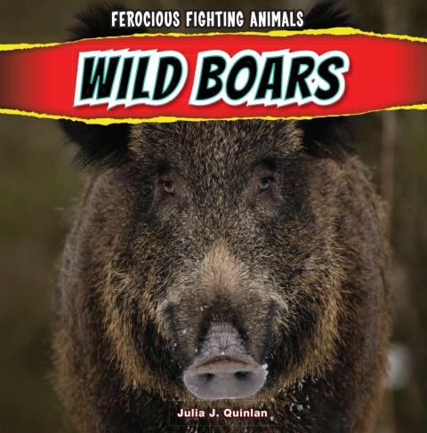 Cover image for book Wild Boars