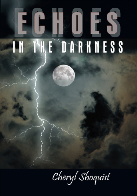 Cover image for book Echoes in the Darkness