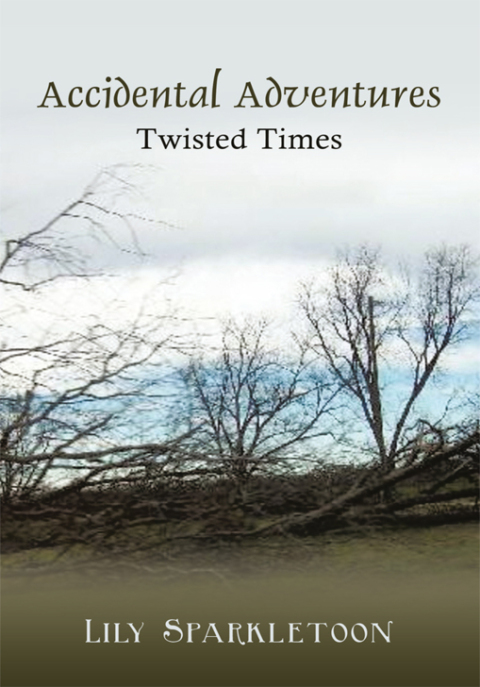 Cover image for book Accidental Adventures