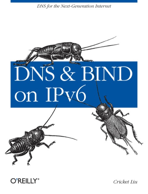 Cover image for book DNS and BIND on IPv6