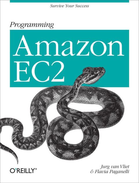 Cover image for book Programming Amazon EC2