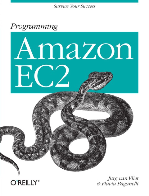 Cover image for book Programming Amazon EC2