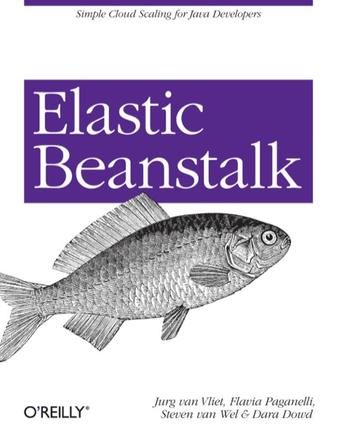 Cover image for book Elastic Beanstalk