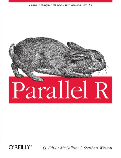 Cover image for book Parallel R