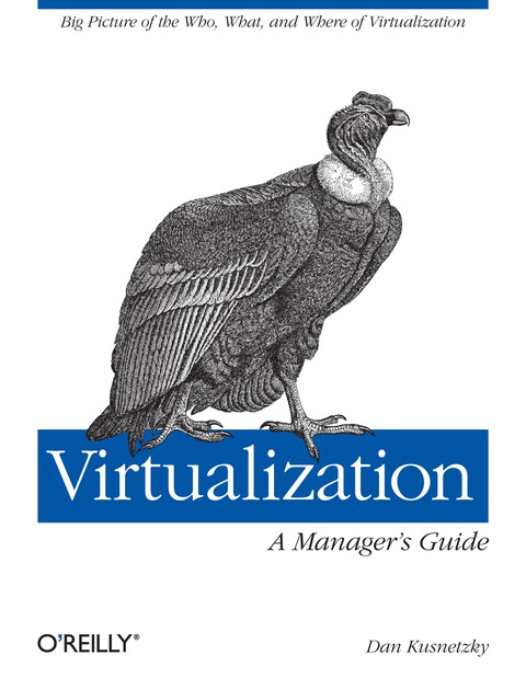 Cover image for book Virtualization: A Manager's Guide