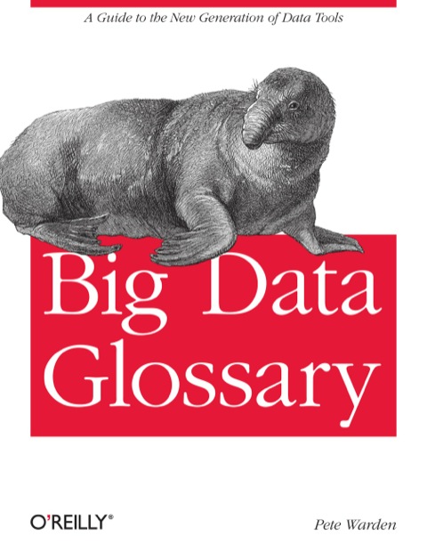 Cover image for book Big Data Glossary