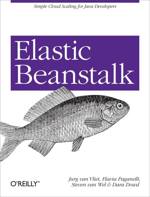 Cover image for book Elastic Beanstalk