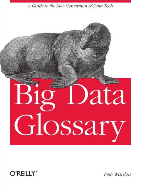 Cover image for book Big Data Glossary