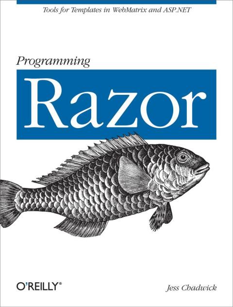 Cover image for book Programming Razor