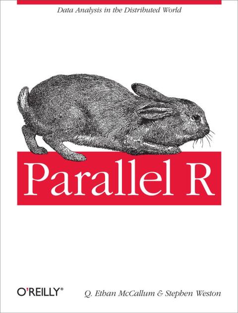 Cover image for book Parallel R