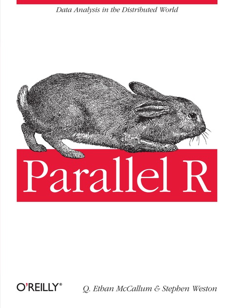 Cover image for book Parallel R