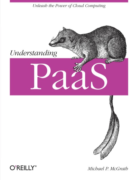 Cover image for book Understanding PaaS