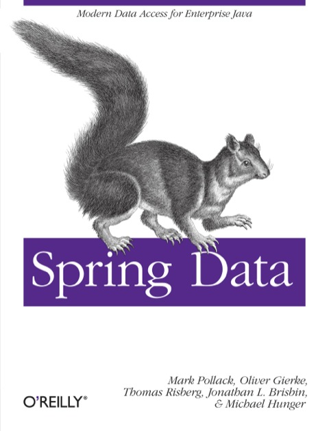 Cover image for book Spring Data