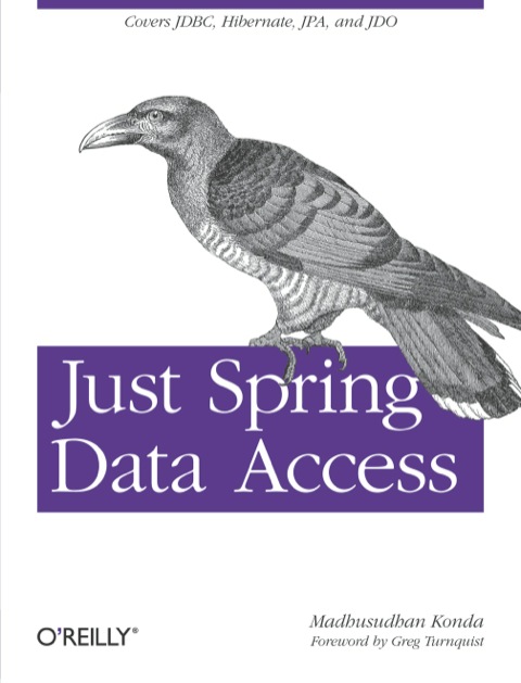 Cover image for book Just Spring Data Access