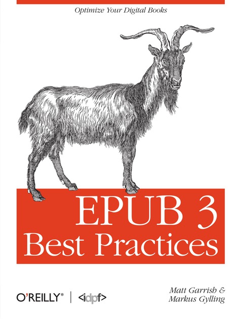 Cover image for book EPUB 3 Best Practices