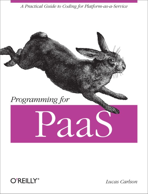 Cover image for book Programming for PaaS