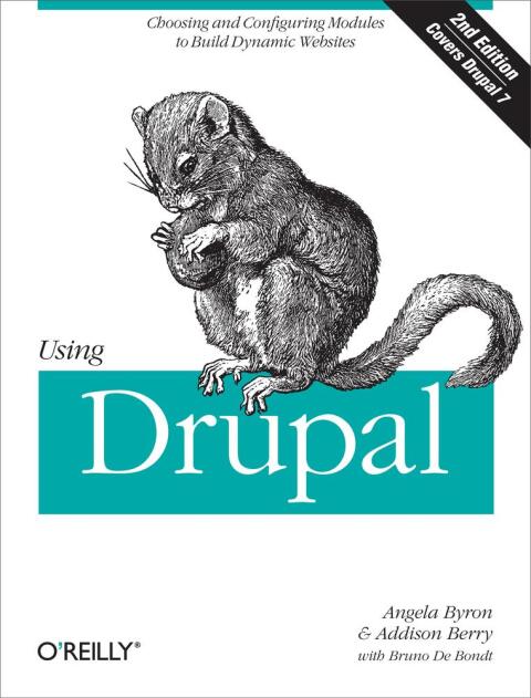 Cover image for book Using Drupal