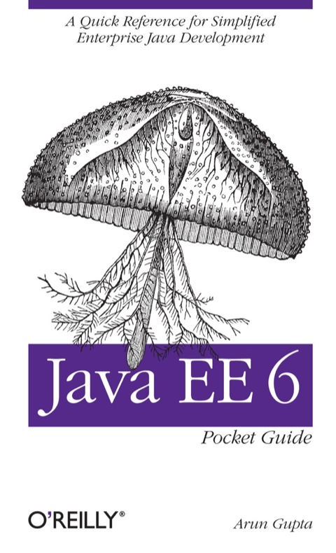 Cover image for book Java EE 6 Pocket Guide