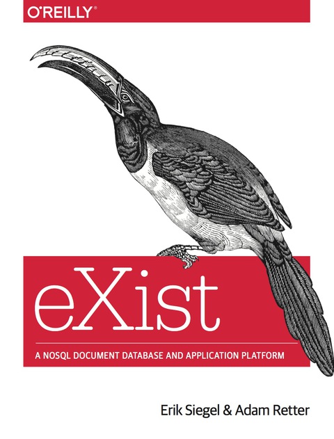 Cover image for book eXist