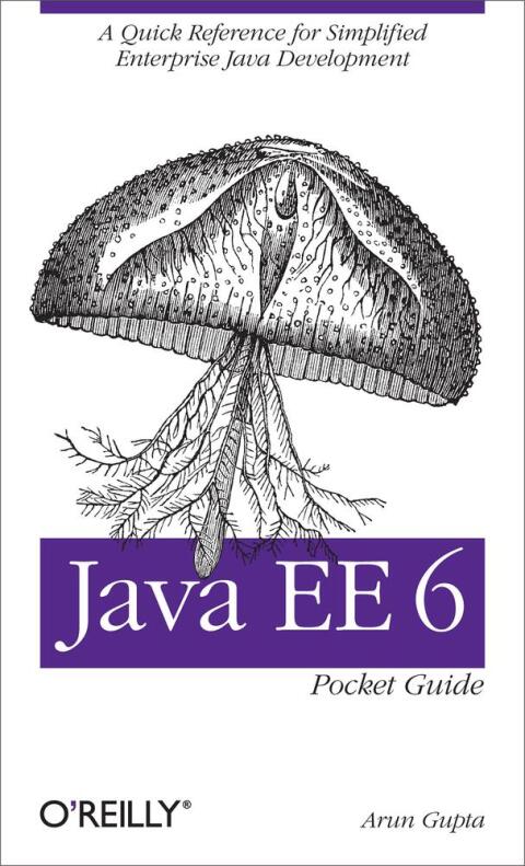 Cover image for book Java EE 6 Pocket Guide