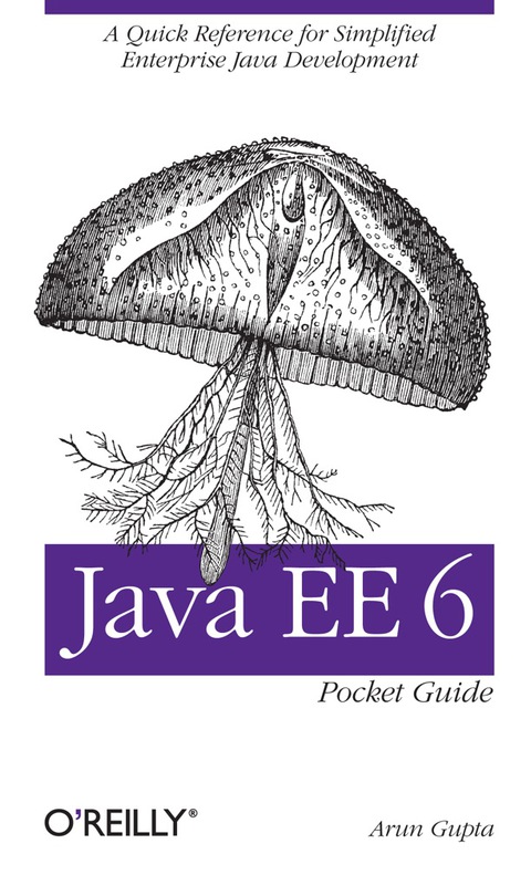 Cover image for book Java EE 6 Pocket Guide