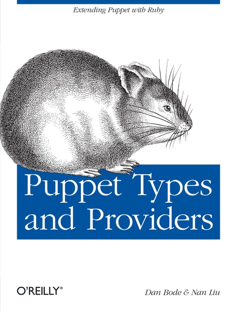 Cover image for book Puppet Types and Providers