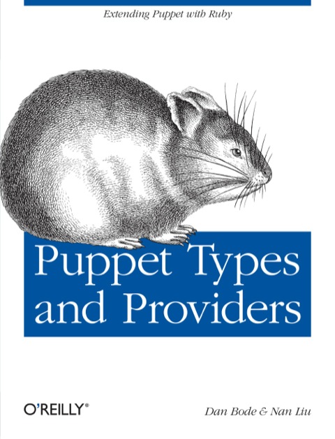 Cover image for book Puppet Types and Providers