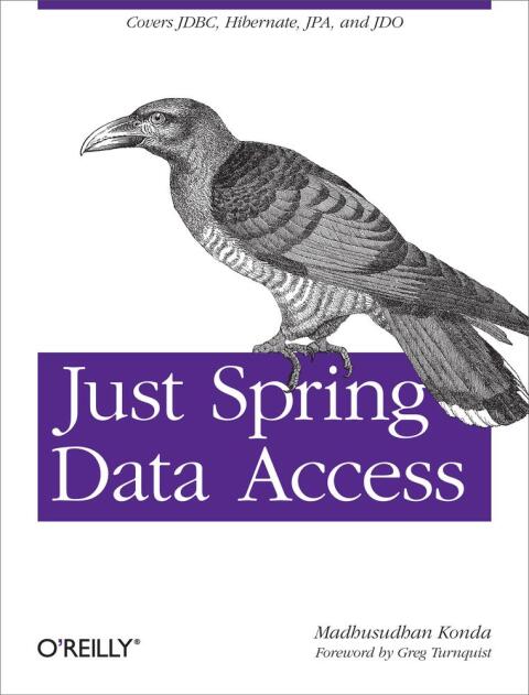 Cover image for book Just Spring Data Access