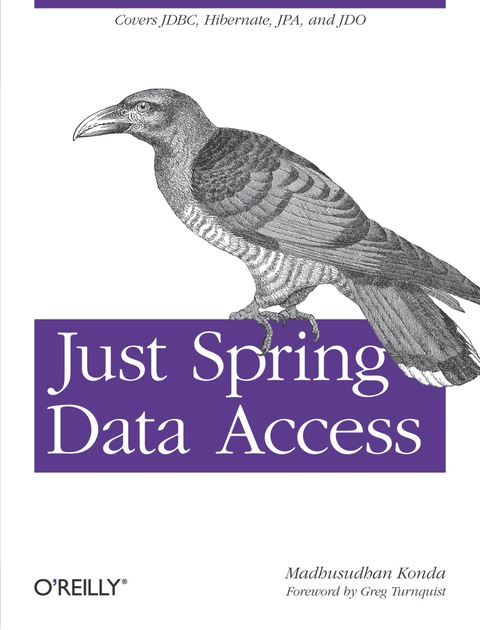 Cover image for book Just Spring Data Access