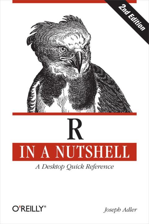 Cover image for book R in a Nutshell
