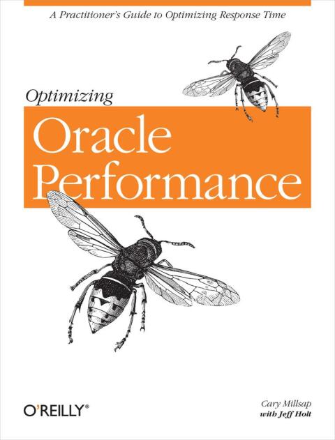 Optimizing Oracle Performance 