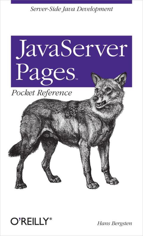 Cover image for book JavaServer Pages Pocket Reference