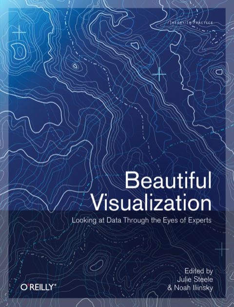 Cover image for book Beautiful Visualization