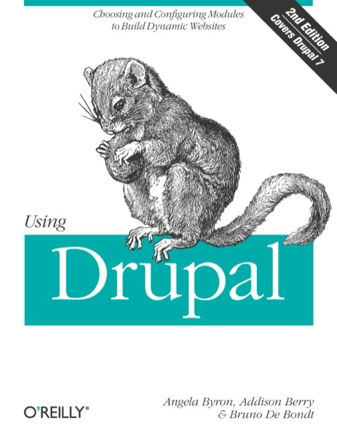 Cover image for book Using Drupal