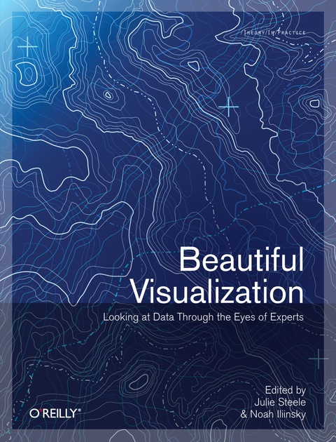 Cover image for book Beautiful Visualization