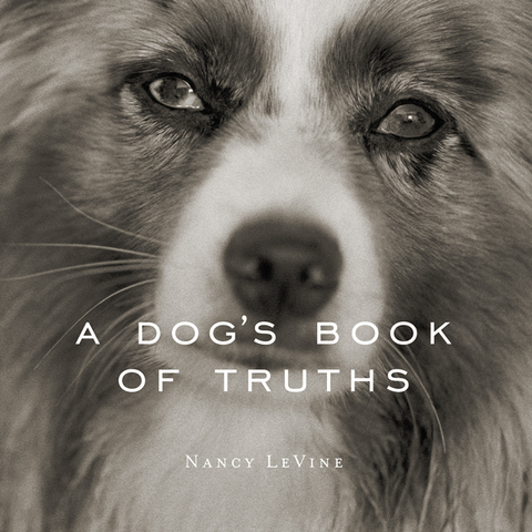 Cover image for book A Dog's Book of Truths