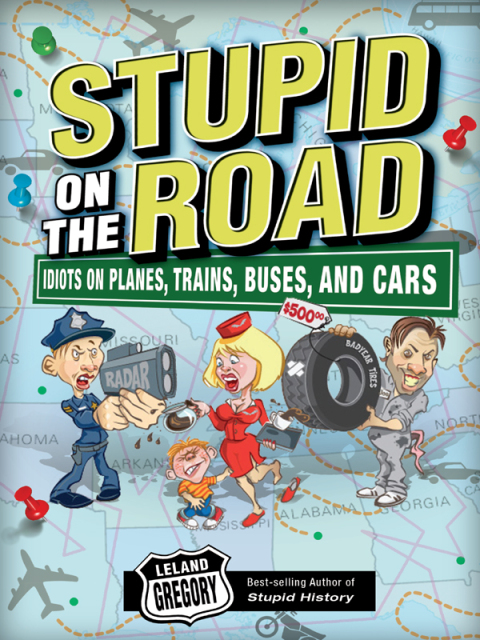 Cover image for book Stupid on the Road